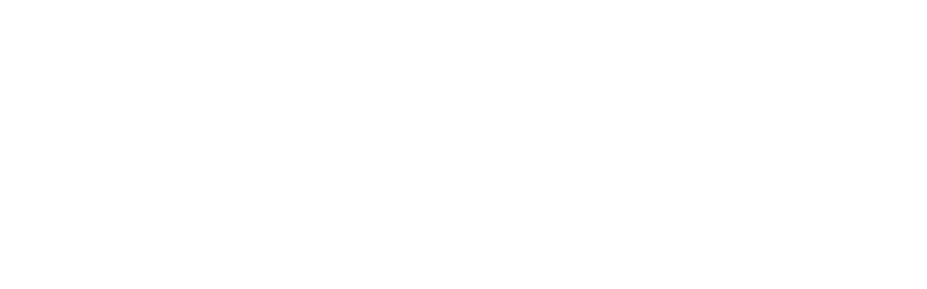0. Logo_Alzasa_blanco